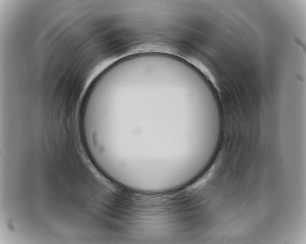 X0000095900981200801110801