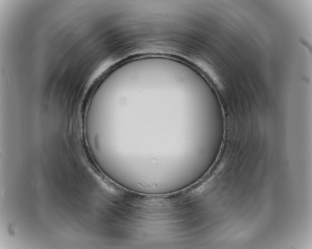 X0000095900982200801110801