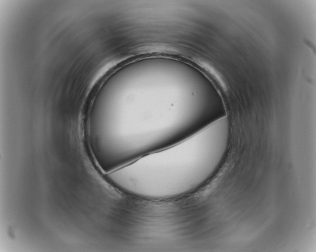 X0000095900983200801110801