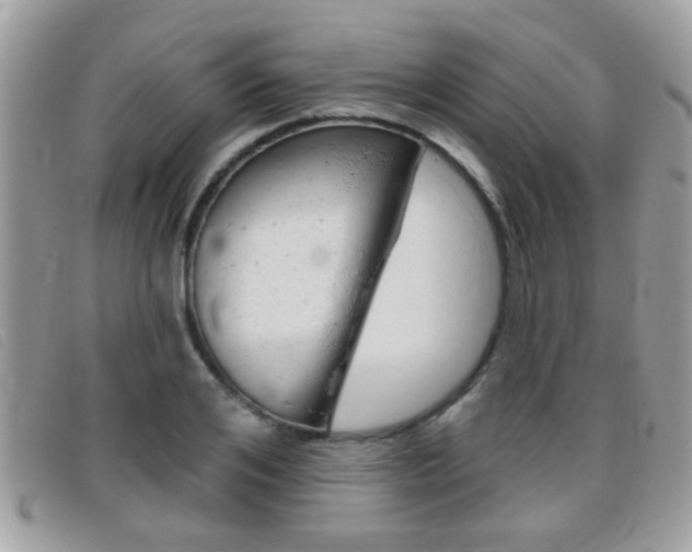 X0000095900984200801110801