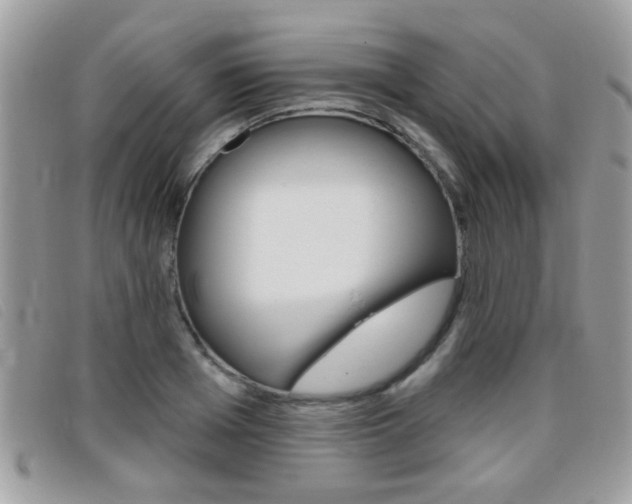 X0000095900985200801110801