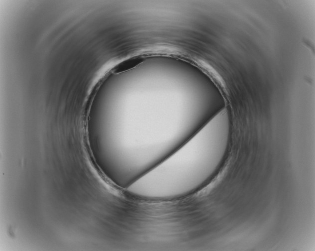 X0000095900989200801110801