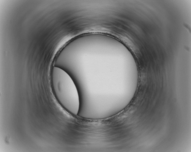 X0000095900990200801110801