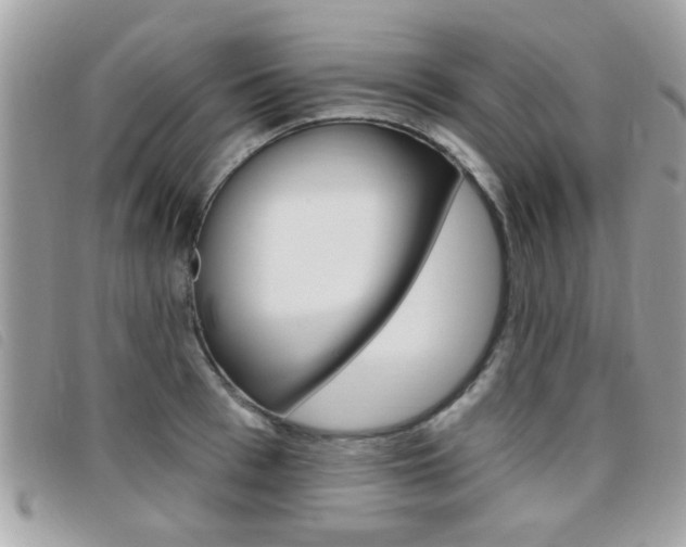 X0000095900993200801110801