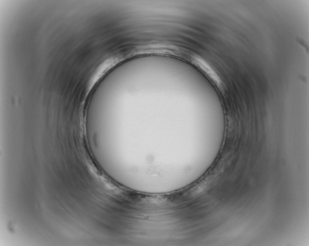 X0000095900994200801110801