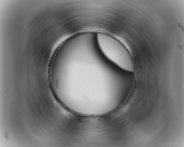 X0000095900995200801110801