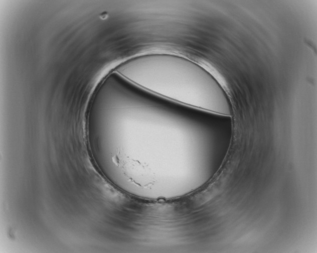 X0000095900996200801110801