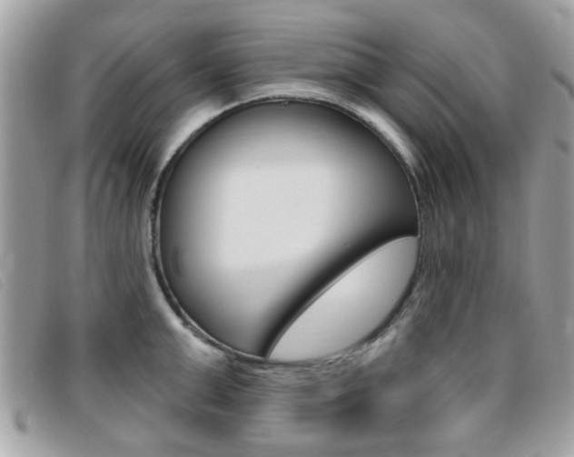 X0000095900999200801110801