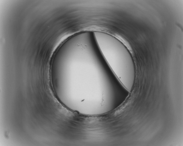X0000095901000200801110801