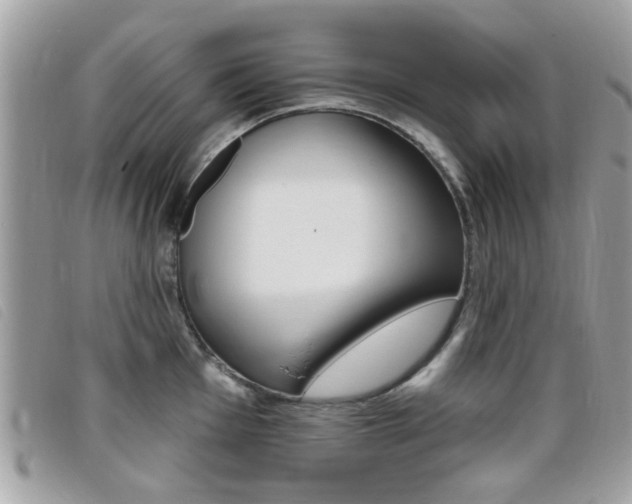 X0000095901001200801110801