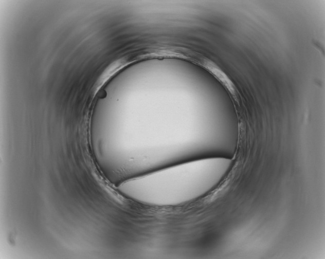 X0000095901002200801110801