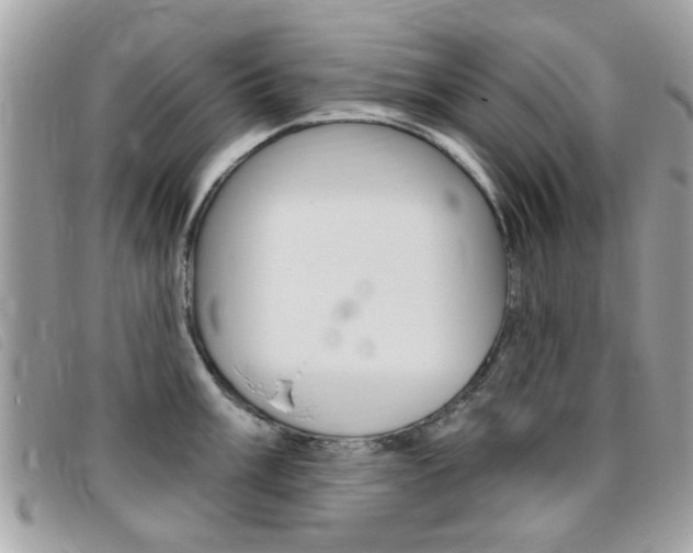 X0000095901003200801110801