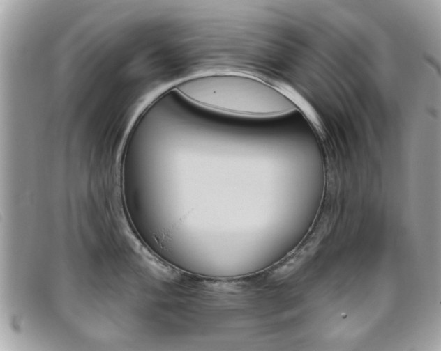 X0000095901004200801110801