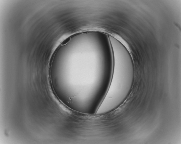 X0000095901005200801110801