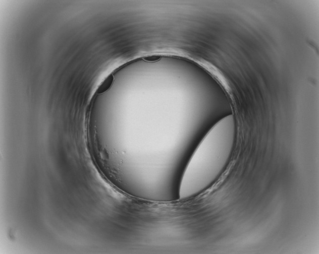 X0000095901006200801110801