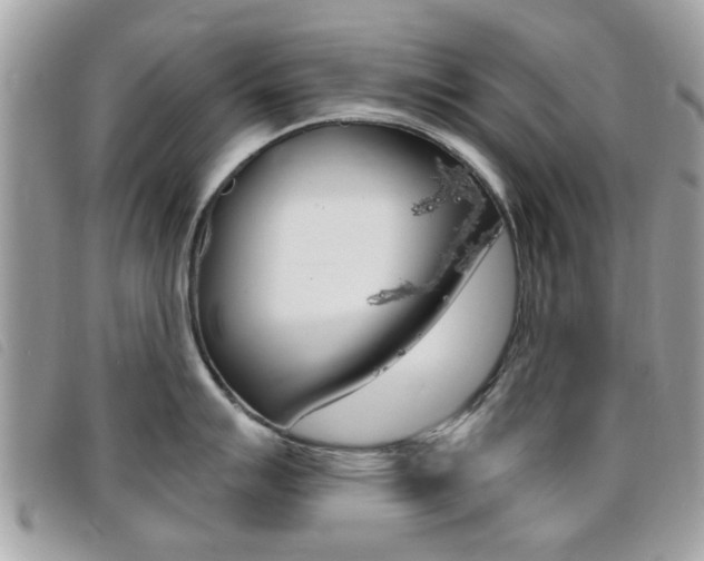 X0000095901007200801110801