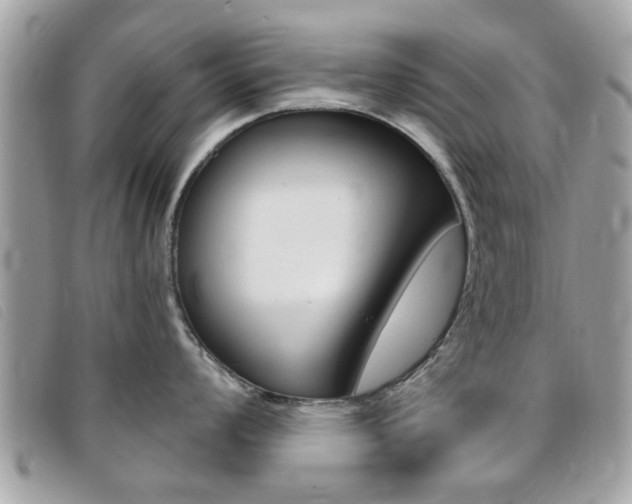 X0000095901008200801110801