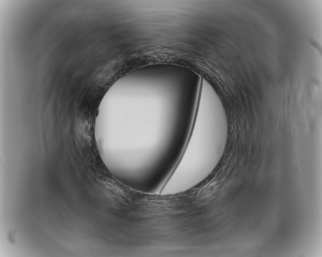 X0000095901010200801110800