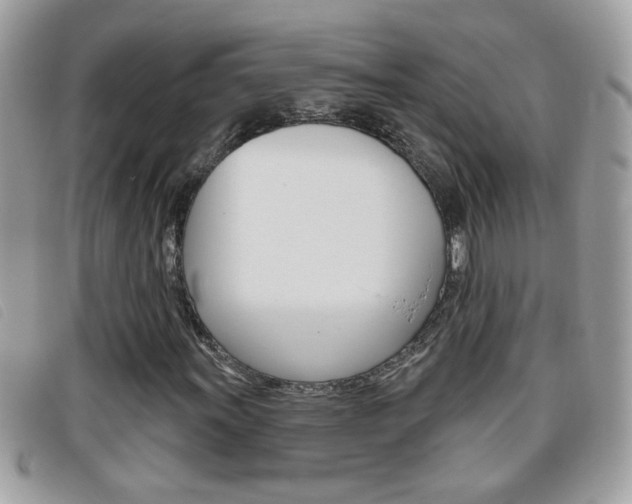 X0000095901011200801110800