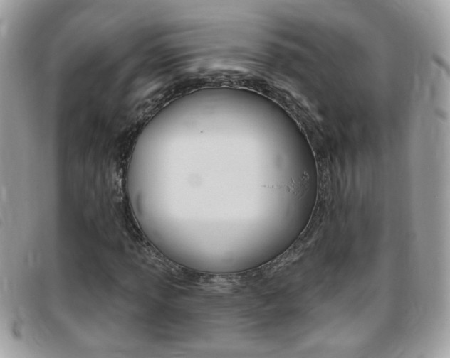 X0000095901013200801110800