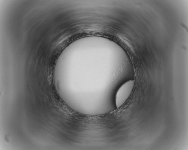 X0000095901015200801110800