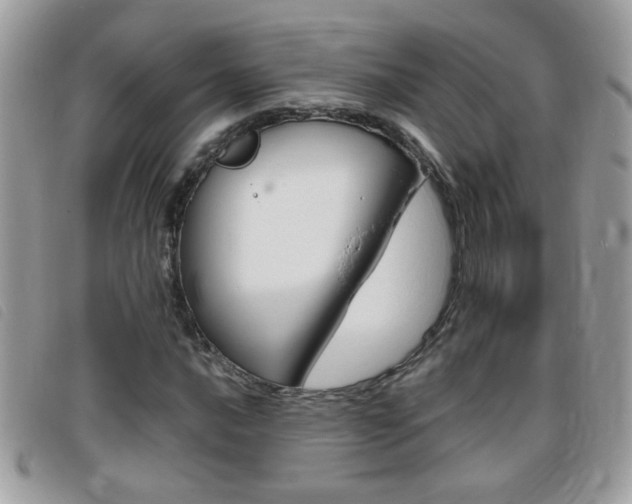X0000095901016200801110800