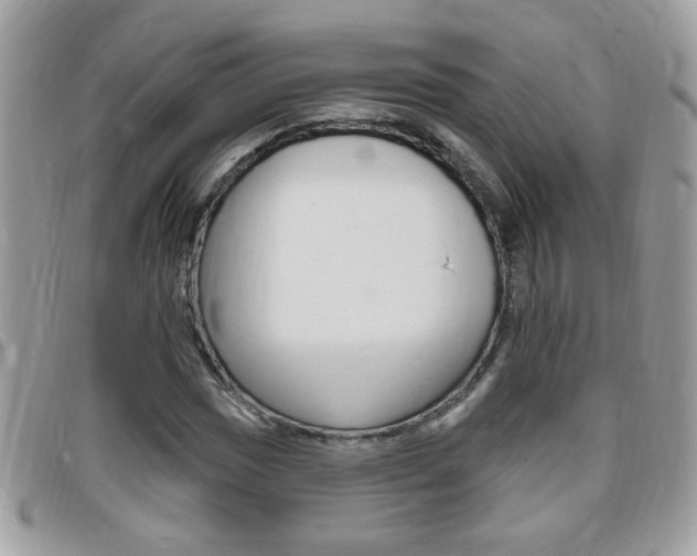 X0000095901017200801110800