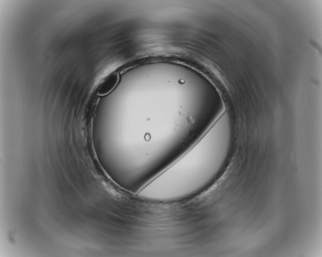 X0000095901018200801110800
