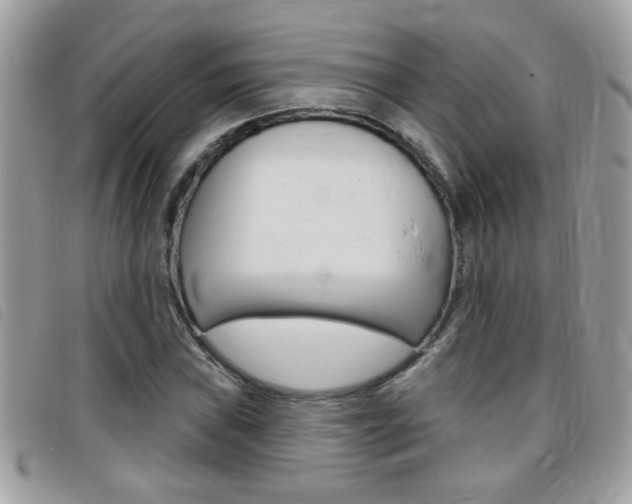 X0000095901019200801110800