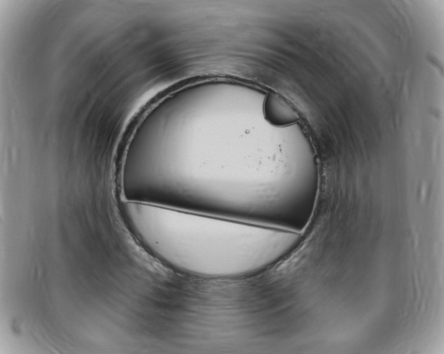 X0000095901020200801110800