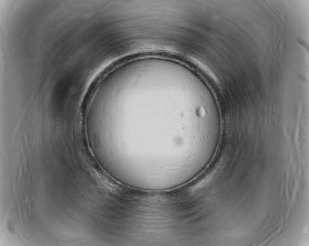 X0000095901021200801110800