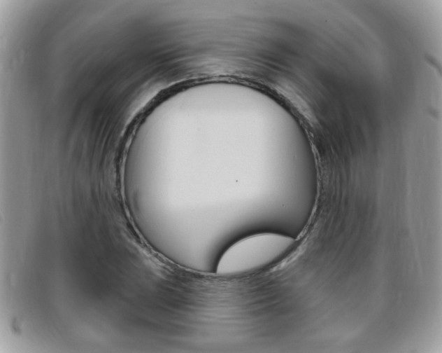 X0000095901023200801110800
