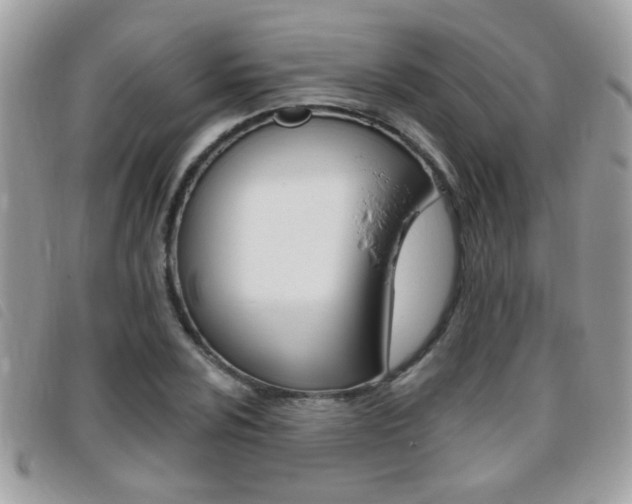 X0000095901024200801110800