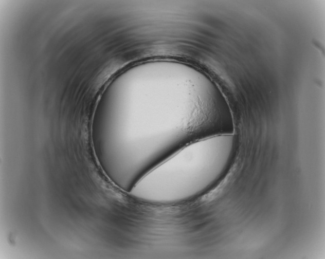 X0000095901025200801110800