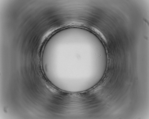 X0000095901027200801110800