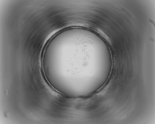 X0000095901028200801110800