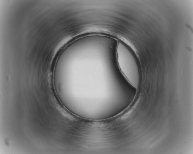 X0000095901029200801110800