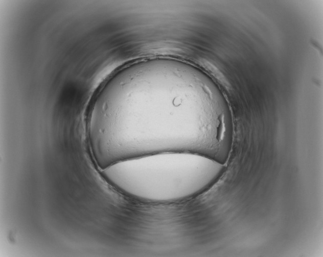 X0000095901031200801110800