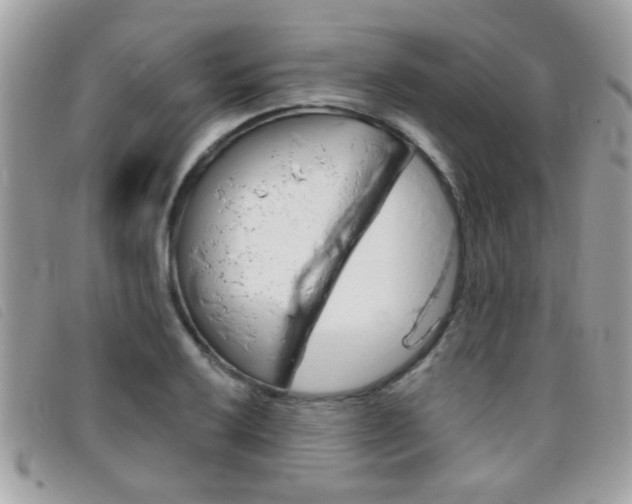 X0000095901032200801110800
