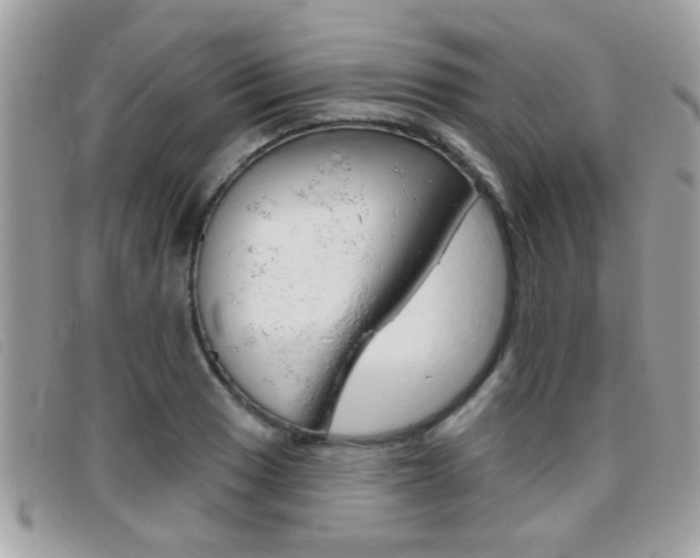 X0000095901033200801110800
