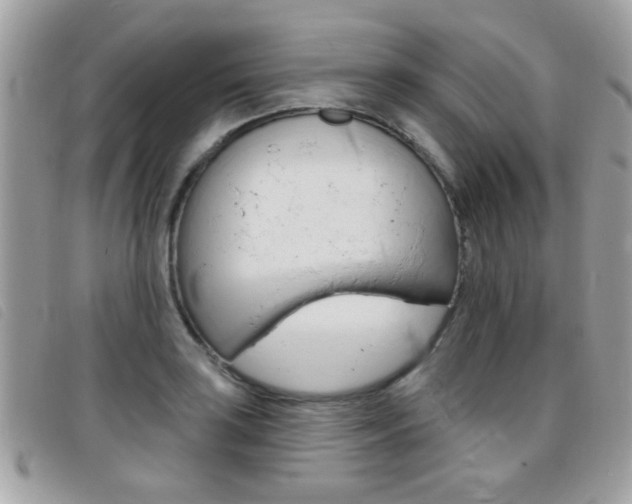 X0000095901035200801110800