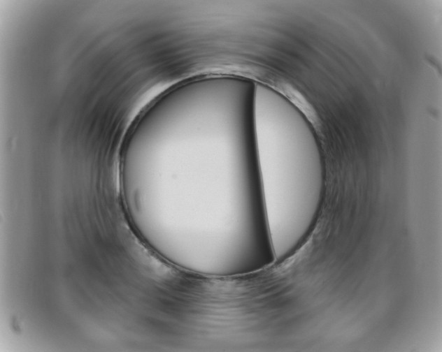 X0000095901036200801110800