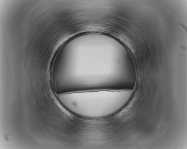 X0000095901037200801110800