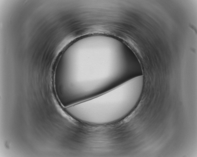 X0000095901038200801110800