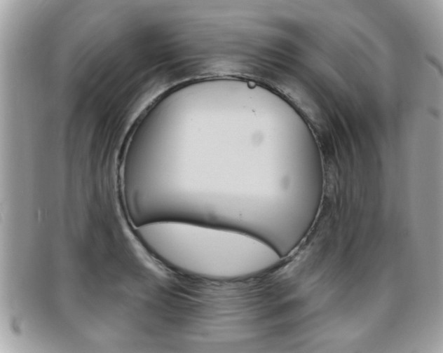 X0000095901039200801110800
