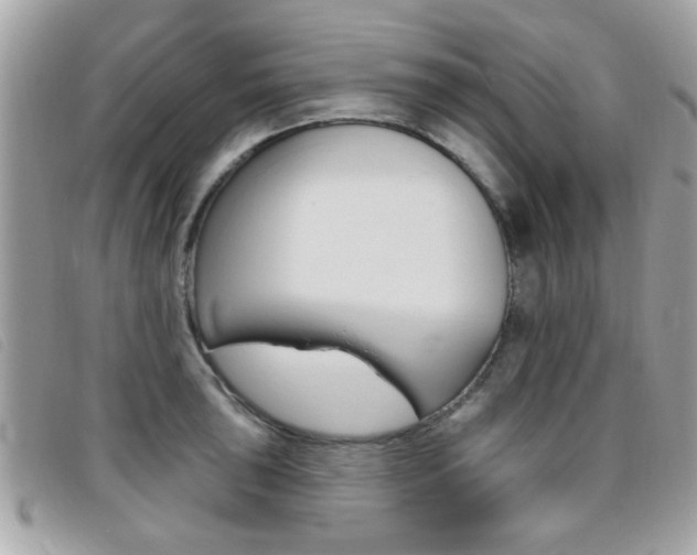 X0000095901043200801110800