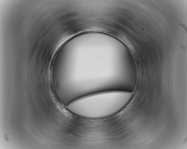 X0000095901044200801110800