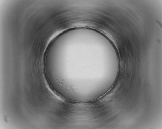 X0000095901045200801110800