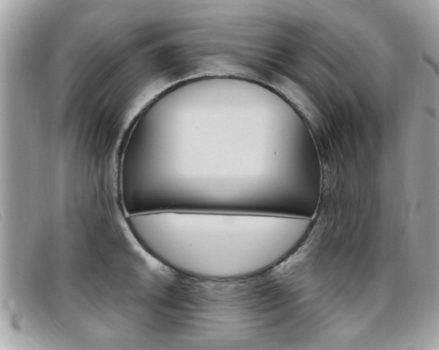 X0000095901046200801110800