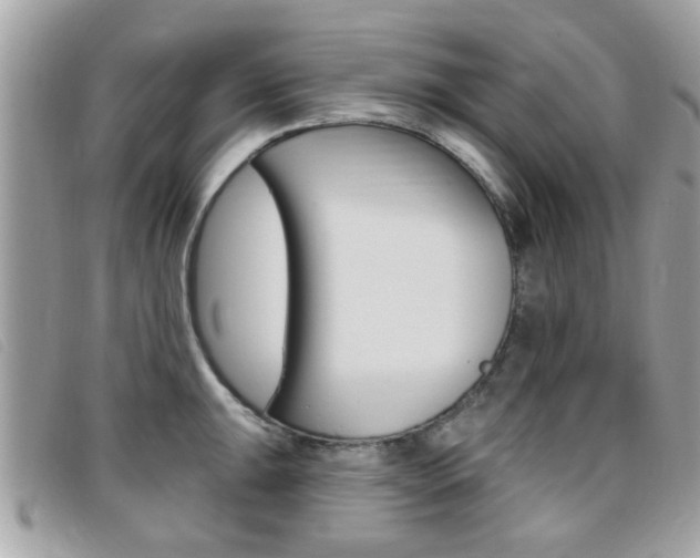 X0000095901047200801110800